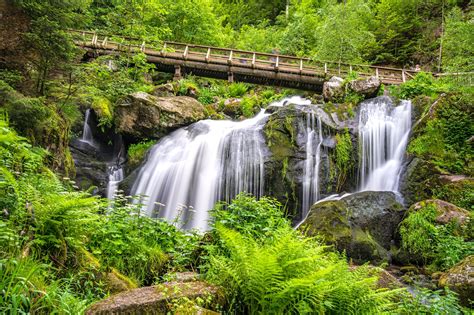 Las 11 mejores cosas que hacer en la Selva Negra Cuáles son los