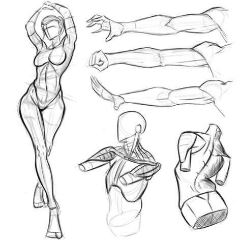 How to Learn Figure Drawing in 2024: For Beginner Artists - Concept Art ...