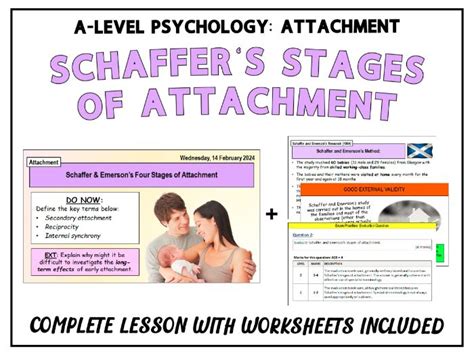 A-Level Psychology - SCHAFFER & EMERSON'S STAGES OF ATTACHMENT (1964 ...