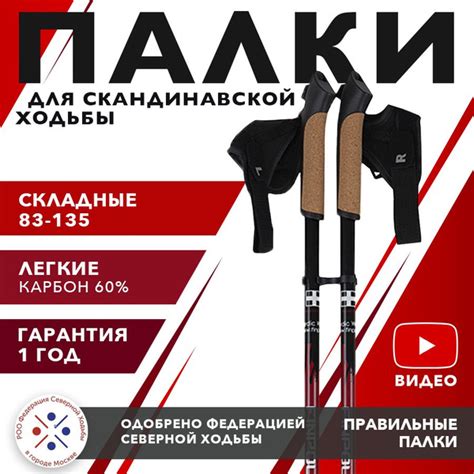 Finpole Палки для скандинавской ходьбы 135 см - купить с доставкой по ...