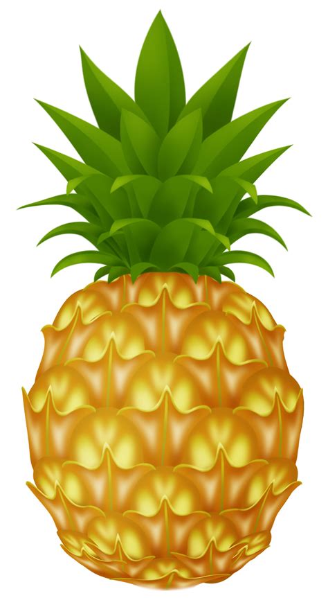 Free Pineapple Cliparts Download Free Pineapple Cliparts Png Images