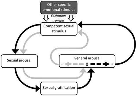 Mixed Emotions An Incentive Motivational Model Of Sexual Deviance Wineke J Smid Edwin C