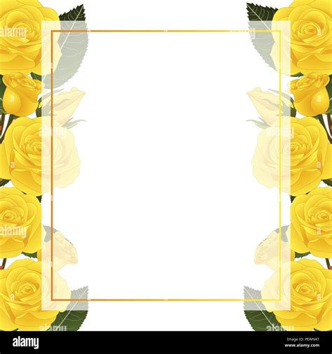 Best Collection 888 Yellow Flower Background Design Free Download High