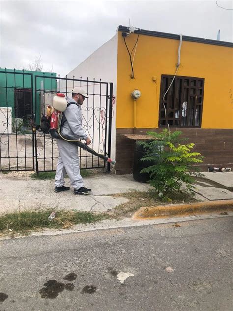 La rickettsia tiene alto índice de mortalidad Salud Coahuila La Otra