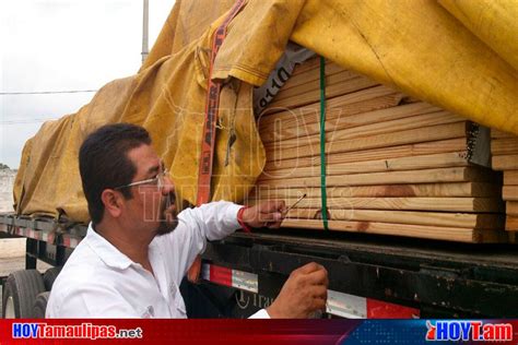 Hoy Tamaulipas Detectan Plaga En Madera Procedente De EU En Matamoros