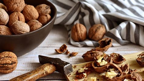 Alergije i osjetljivost na hranu: pšenica, gluten i mliječni proizvodi