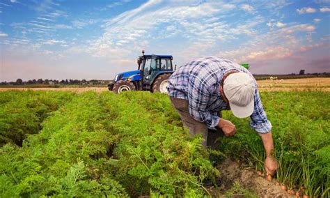 Le Panier De La Ferme Des Produits Frais Toute L Ann E Coubert