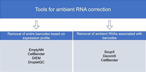 Introduction To Ambient Rna Correction 10x Genomics