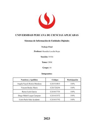 Grupo Trabajo Final Sistemas De Informaci N Universidad