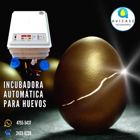 Incubadora De 36 Huevos De Rodillos Avicase