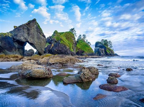 Revealed The Best Places To Vacation In Washington State With Kids