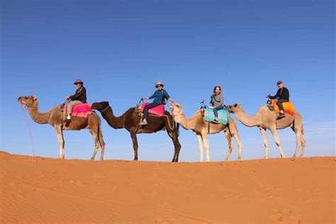 Morocco: My Thrilling Sahara Desert Camp & Camel Ride on the Dunes | Planet Janet Travels