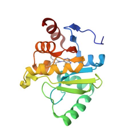 RCSB PDB 5SRG PanDDA Analysis Group Deposition Crystal Structure