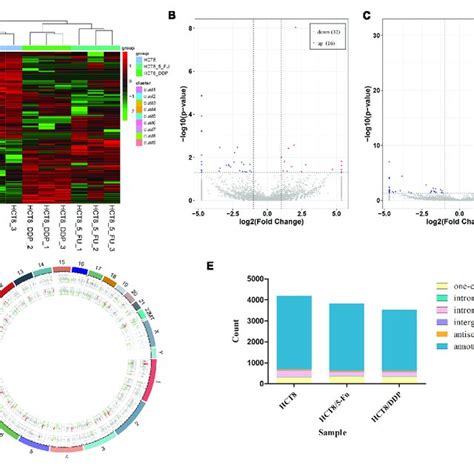 Expression Profiles Of Circrnas A Cluster Analysis Of De Circrnas