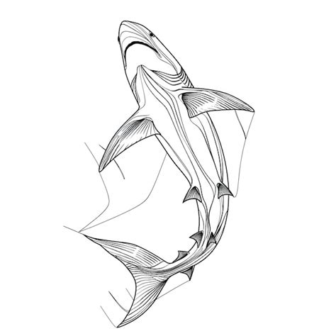 Shark Fish In Continuous Line Art Drawing Style Premium Ai Generated