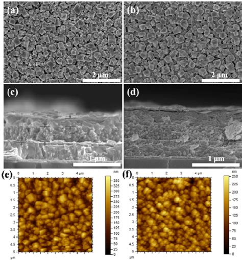 The Sem Micrograph Of Mapbi Film Cross Section Micrograph Of Pscs