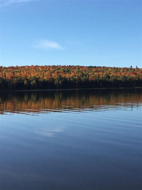 Big Machias Lake Rmaine