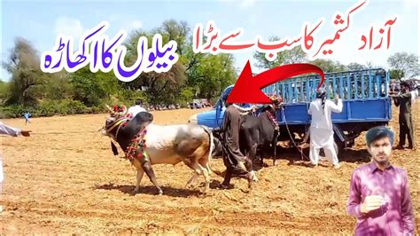 Bail Akhara In Gura Rehman Bhimber Azad Kashmir Riasat Youtube