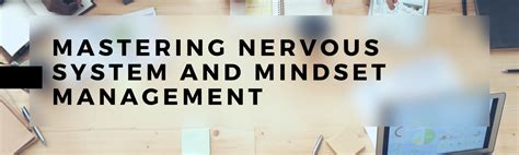 Nervous System and Mindset Management for Busy Professionals