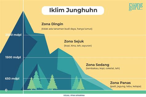 5 Macam Klasifikasi Tipe Iklim Dan Perbedaannya Geografi Kelas 10