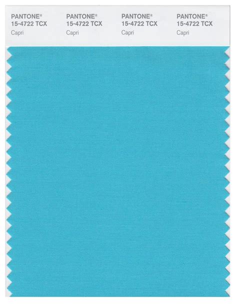 Pantone Smart 15 4722 Tcx Color Swatch Card Capri Magazine Cafe Store Nyc Usa