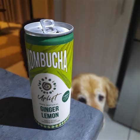 Uplift Lemon And Ginger Kombucha Review Abillion