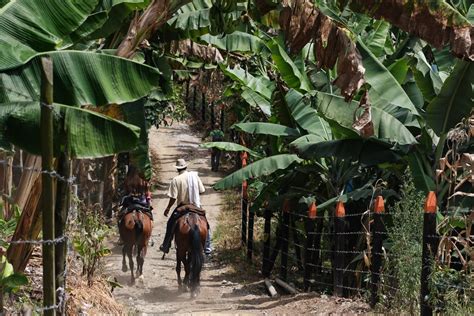 Quelle Est La Meilleure Saison Pour Aller En Colombie Terres Denvies