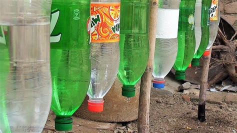 Plastic Bottle Drip Water Irrigation System Very Simple | Капельное ...
