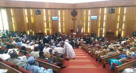 Senate Begins Process To Reappraise National Assemblys Budget