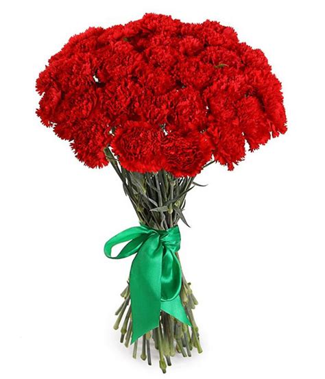 Картинки гвоздики (26 фото) 🔥 BipBap.ru