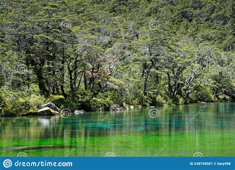 Blue Lake Nelson Lakes National Park South Island New Zealand Stock