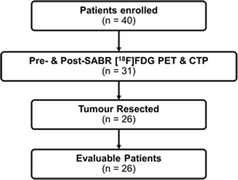 Of Patient Enrollment Sabr Stereotactic Ablative Radiation Therapy