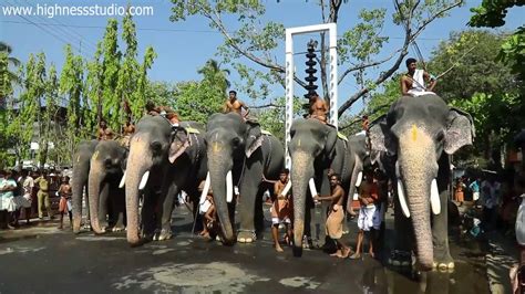 Guruvayoor Elephant Fort