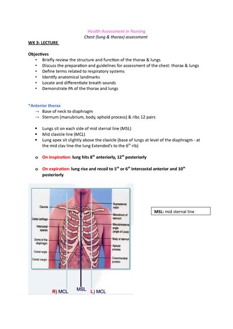 Wk Chest Lungs Thorax Assessment Health Assessment In Nursing