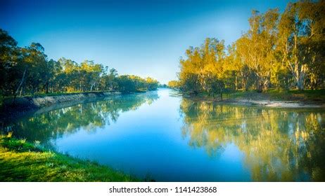 20 Barmah Forest Images, Stock Photos & Vectors | Shutterstock