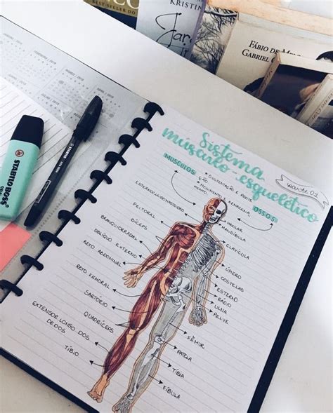 A Notebook With A Diagram Of The Human Body On Top Of It Next To Pens