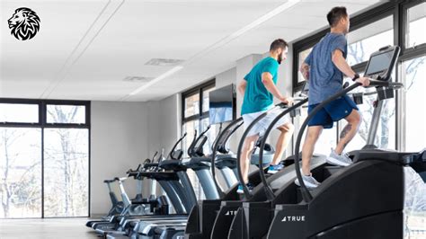 Ways To Get A Good Stair Climber Workout Angry Lion Fitness