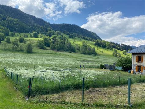 Terrain Vendre En Rh Ne Alpes Savoie Terrain Plat Constructible