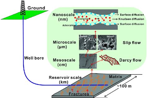 Gas Storage And Migration In Shale Reservoirs Occurs At Multiple Pore