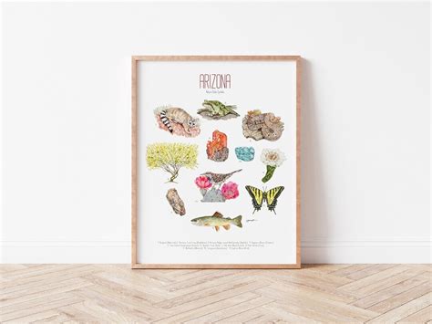 Arizona State Symbols Print, Arizona State Symbols Typology, Arizona ...