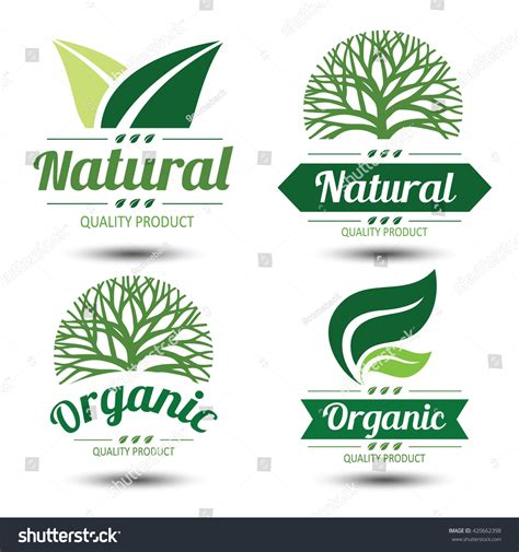 Set Eco Labels Badgesemblem Leaves Vector Stock Vector Royalty Free