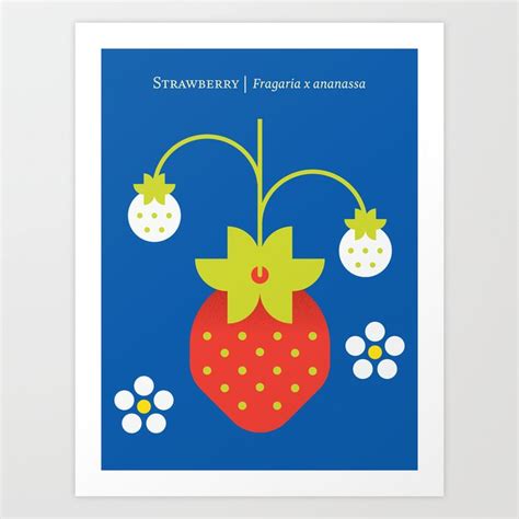 Fruit: Strawberry Art Print by Christopher Dina | Society6