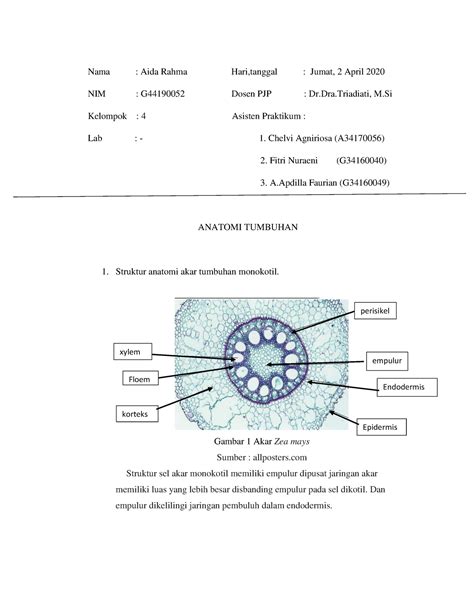 Aida Rahma G Anatomi Tumbuhan Nama Aida Rahma Hari Tanggal