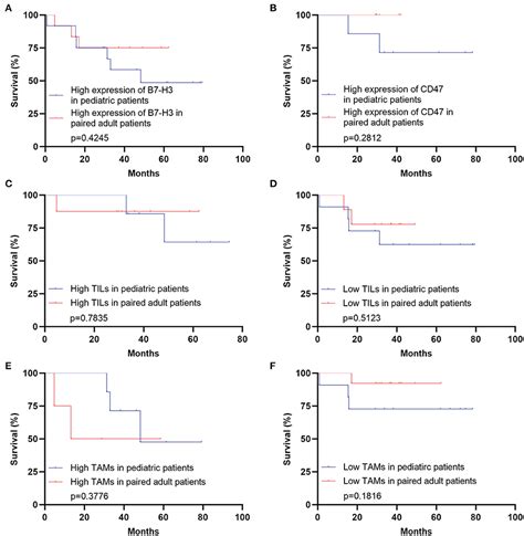 Frontiers Immune Checkpoint Associated Locations Of Diffuse Gliomas