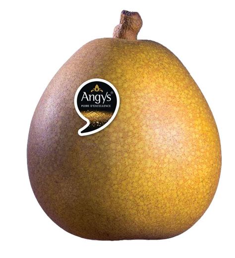 Poire Angelys Bio Tr S Petit Calibre France La Belle Vie Courses