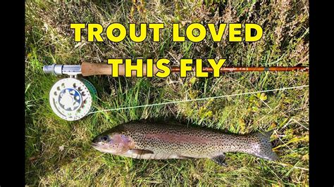 Fly Fishing For Trout In The Wild Welsh Moorlands Llyn Brenig Shore