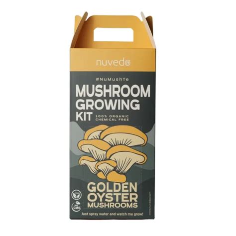 Golden Oyster Mushroom Growing Kit Nuvedo®