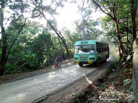 Travel To Ooty From Coimbatore On Awesome Places