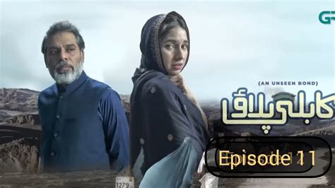 Kabuli Pulao Episode Best Scene Sabeena Farooq Best Drama