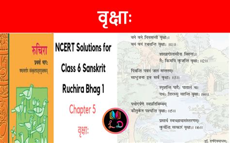 Ncert Solution Class 6th Sanskrit Chapter 5 वृक्षाः